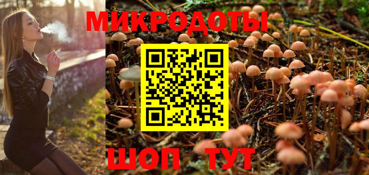 Псилоцибиновые грибы GOLDEN TEACHER Карачаевск