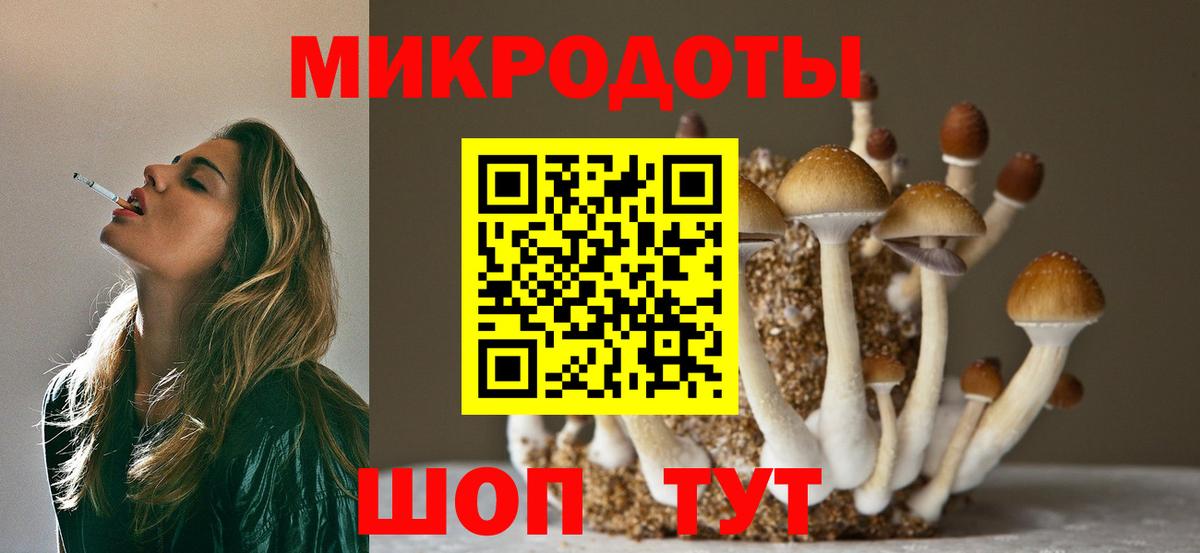 Карачаевск  Галлюциногенные грибы GOLDEN TEACHER  Вход с VPN  Галлюциногенные грибы GOLDEN TEACHER 